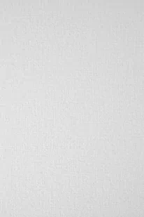 Papier Elfenbens 246g Tkanina Lniana biały - 10A3 - Dekoratorstwo - miniaturka - grafika 1