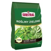 Ziemia ogrodowa - Substral Ziemia do roślin zielonych 3L - miniaturka - grafika 1