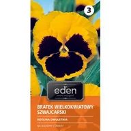 Nasiona i cebule - Bratek ogrodowy wielkokwiatowy szwajcarski Firnengold 0,5 g Eden - miniaturka - grafika 1