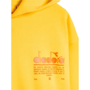 Bluza DIADORA HOODIE MANIFESTO - Bluzy męskie - miniaturka - grafika 6