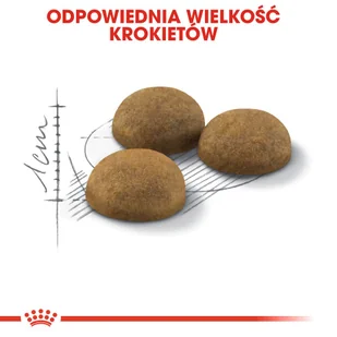 ROYAL CANIN  Indoor Long Hair 4kg karma sucha dla kotów dorosłych, długowłose, przebywających wyłącznie w domu + niespodzianka dla kota GRATIS! - Sucha karma dla kotów - miniaturka - grafika 8
