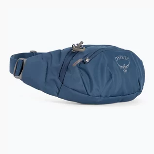 Nerki - Saszetka nerka Osprey Daylite Waist wave blue - grafika 1