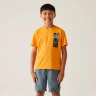 Koszulki dla chłopców - Regatta Dziecięca koszulka Alvarado IX Pomarańczowy, Rozmiar: 152 cm - miniaturka - grafika 1