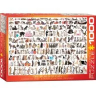 Puzzle - Eurographics Puzzle 1000 elementów. Świat kotów - miniaturka - grafika 1