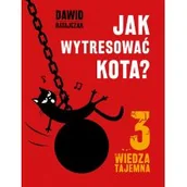 Książki o kulturze i sztuce - Jak wytresować kota 3 Wiedza tajemna Dawid Ratajczak - miniaturka - grafika 1