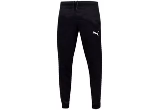 Spodnie sportowe męskie - Puma  Spodnie Dresowe Męskie Active Woven Pants Black 586733 01 M - grafika 1