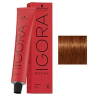 Farby do włosów i szampony koloryzujące - Schwarzkopf Igora Royal, profesjonalna farba do wosw, 6-77, 60ml - miniaturka - grafika 1