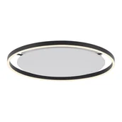 Lampy sufitowe - Paul Neuhaus Lampa sufitowa ciemnoszara 58 8 cm z diodą LED z 3-stopniowym ściemnianiem - Zlatan - miniaturka - grafika 1