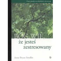 Salwator Bóg wie że jesteś zestresowany - Smollin Anne Bryan - Poradniki psychologiczne - miniaturka - grafika 1