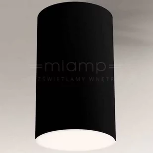 Shilo Spot ARAO 1178 1178 - Lampy sufitowe - miniaturka - grafika 1