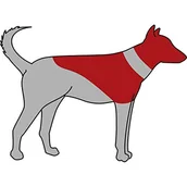 Specjalistyczne artykuły dla zwierząt - TRIXIE TRIXIE Kołnierz ochronny dmuchany SM - miniaturka - grafika 1