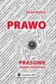 E-booki - prawo - Prawo prasowe. Teoria i praktyka - miniaturka - grafika 1