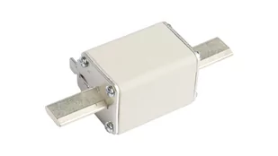 ETI 004139119 | Wkł. topikowa przemysłowa szybka WT-1/gF 160A 4139119 - Bezpieczniki elektryczne - miniaturka - grafika 1