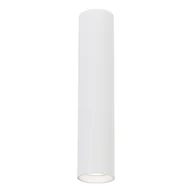 Lampy sufitowe - GENESIS SPOT WHITE 1xGU10 30cm - miniaturka - grafika 1