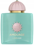 Wody i perfumy męskie - Amouage Odyssey Lineage woda perfumowana 100 ml - miniaturka - grafika 1