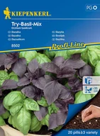 Nasiona i cebule - Bazylia Try-Basil-Mix 8502 (ST) - miniaturka - grafika 1
