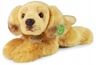 Maskotka Piesek Labrador Leżący Retriever - 30cm - Maskotki i pluszaki - miniaturka - grafika 1