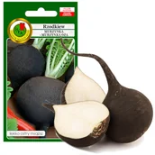 Nasiona i cebule - RZODKIEW MURZYNKA LEKKO OSTRA 5g NASIONA BEZ GMO - miniaturka - grafika 1