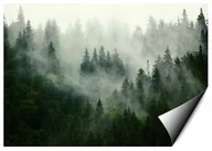 Fototapety - Consalnet Fototapeta Świerkowy Las Otulony we mgle 416x254 cm XXXL 13026VEXXXL - miniaturka - grafika 1