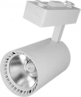 Lampy pozostałe - Nvox Lampa sklepowa led reflektor szynowy jednofazowy biały 30w 2250 lm światło ciepłe 3000k - miniaturka - grafika 1
