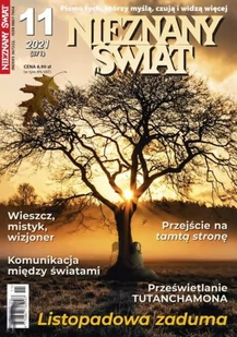 Nieznany Świat 11/2021 (371) - Czasopisma - miniaturka - grafika 1