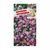 Nasiona i cebule - Gipsówka wytworna różowa 1g / O / - miniaturka - grafika 1