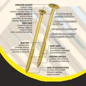 Wkręty - WKRĘT DO DREWNA Z ŁBEM STOŻKOWYM NA TORX 6*100MM T30 - miniaturka - grafika 1