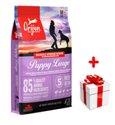 ORIJEN Puppy Large 6kg + niespodzianka dla psa GRATIS!