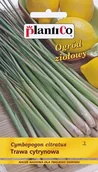Nasiona i cebule - NASIONA Trawa Cytrynowa 0,1g PLANTICO 424333 - miniaturka - grafika 1