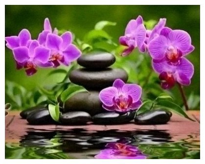 DIAMENTOWA PASJA Haft Diamentowy Obraz Diamentowy Mozaika Diamentowa STORCZYKI KWIATY