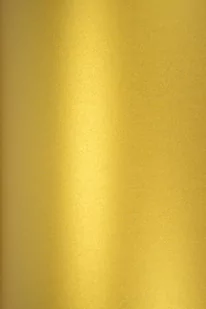 [ M.F.10 ] Papier Aster Met. 120g Cherish złoty - 10A4 / al *  Papier Aster Met. 120g Cherish pak. 10A4 - Dekoratorstwo - miniaturka - grafika 1