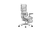 Fotele i krzesła biurowe - BRAVE by Diablo V-KINETIC Fotel Biurowy Ergonomiczny z Podnóżkiem, Szary - miniaturka - grafika 1