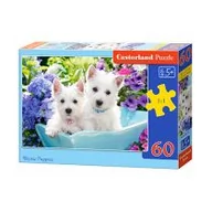 Puzzle - Castorland Puzzle 60 elementów. Szczeniaczki westie - miniaturka - grafika 1