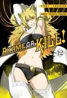 Komiksy dla dorosłych - Waneko Akame ga Kill. Tom 12 Takahiro, Tetsuya Tashiro - miniaturka - grafika 1