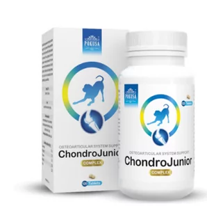 Pokusa FOR HEALTH ChondroLine ChondroJunior 120 tab 54175-uniw - Suplementy i witaminy dla psów - miniaturka - grafika 1