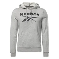 Bluzy męskie - Męska Bluza REEBOK RI FT BIG LOGO OTH HOOD HZ8786 – Szary - miniaturka - grafika 1