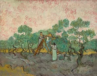 Plakaty - Plakat, Women Picking Olives, Vincent van Gogh, 70x50 cm - miniaturka - grafika 1