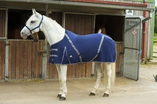 Equi-Theme Derka letnia ripstop - Derki dla konia - miniaturka - grafika 1