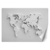 Fototapety - Fototapeta, Zarys kontynentów 3D (Rozmiar 100x70) - miniaturka - grafika 1
