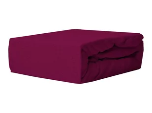 Darymex D.GRUCA I R.RĄCZKA SPÓŁKA JAWNA Prześcieradło z gumką, Frotte, 80x140 cm, fioletowe - Prześcieradła - miniaturka - grafika 1