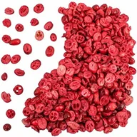 Warzywa świeże i suszone - Żurawina liofilizowana - miniaturka - grafika 1