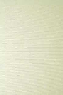 Papier Elfenbens 246g Prążki ecru - 100A4 - Dekoratorstwo - miniaturka - grafika 1