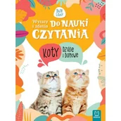 Książki edukacyjne - Wyrazy i zdania do nauki czytania Tajemnice przyrody Koty dzikie i domowe Praca zbiorowa - miniaturka - grafika 1