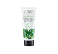 Maseczki do twarzy - Sylveco Vianek normalizująca maseczka do twarzy 75 ml 7086135 - miniaturka - grafika 1
