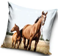 Pościel dla dzieci - Poszewka Velvet 40x40 miła pluszowa Konie - miniaturka - grafika 1