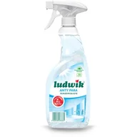 Inne artykuły czyszczące - Płyn do mycia szyb LUDWIK Anty para 600 ml - miniaturka - grafika 1