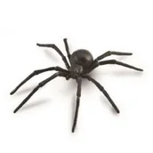 Figurki dla dzieci - Collecta Pająk Czarna Wdowa - 88884 - L - miniaturka - grafika 1