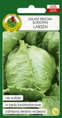 Nasiona i cebule - SAŁATA LODOWA KRUCHA LARSEN CAŁOROCZNA NASIONA BEZ GMO - miniaturka - grafika 1