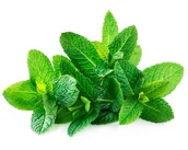 Pasze dla zwierząt - Mięta EQUIHERBS ziele 500g - miniaturka - grafika 1