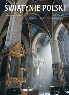 Świątynie Polski - Książki o kulturze i sztuce - miniaturka - grafika 1